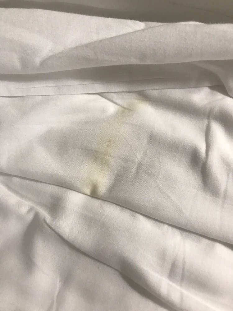 The Slightly Visible Shit Stain May As Well Burn These - 
