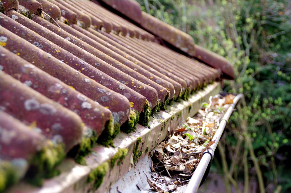 Grimes Gutter Cleaning