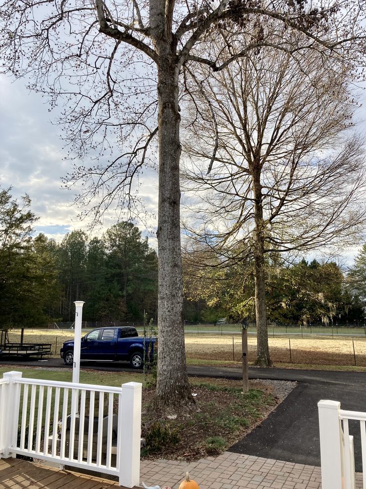 Out On A Limb Tree Service