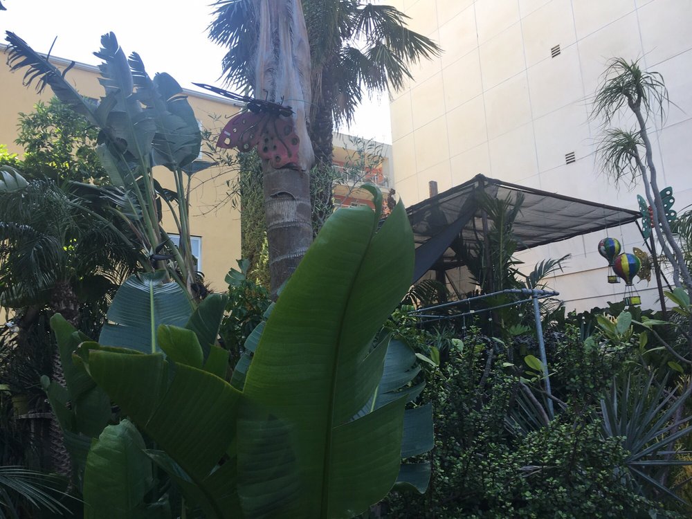 Photos for Mickey Hargitay Plants Yelp