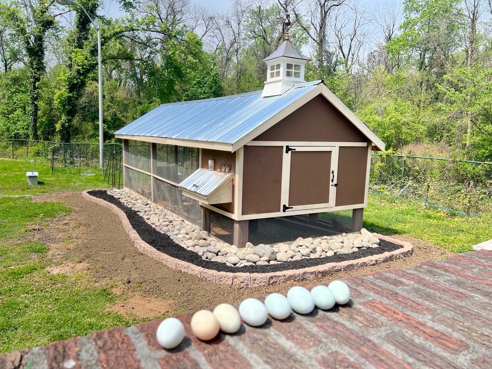 Zizzlo Landscaping & Hardscaping