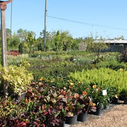 Keep It Green Nursery 16 Photos Nurseries Gardening 7075 N Photo Of Keep It Green Nursery Apollo Beach Fl United States