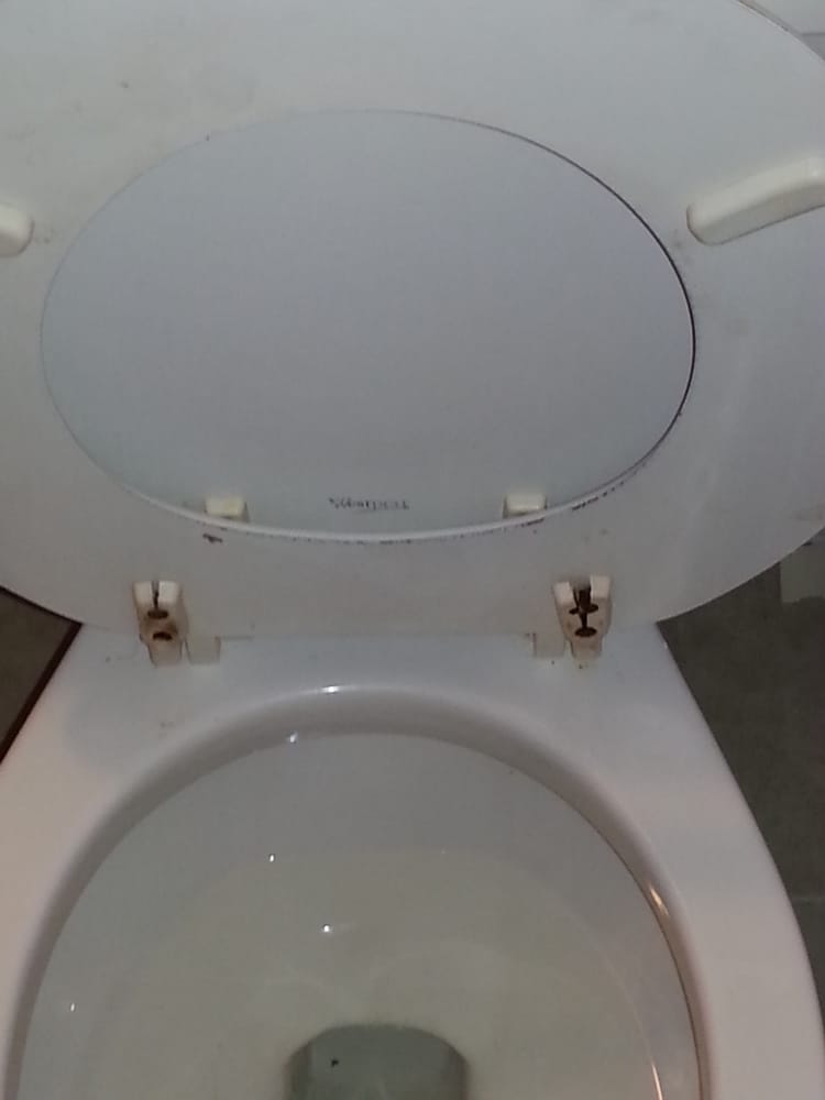 Their Toilets Are Nasty Dirty They Have No Maid Service As Photo Of Calypso Motor Inn Myrtle Beach Sc United States Their Toilets