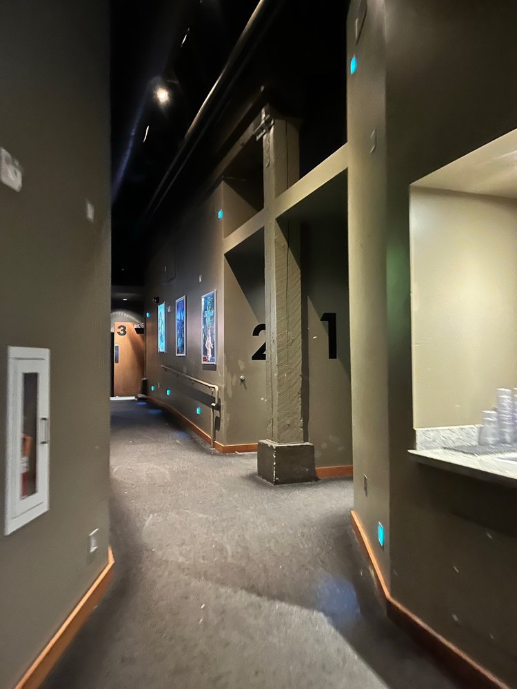 Living Room Theaters