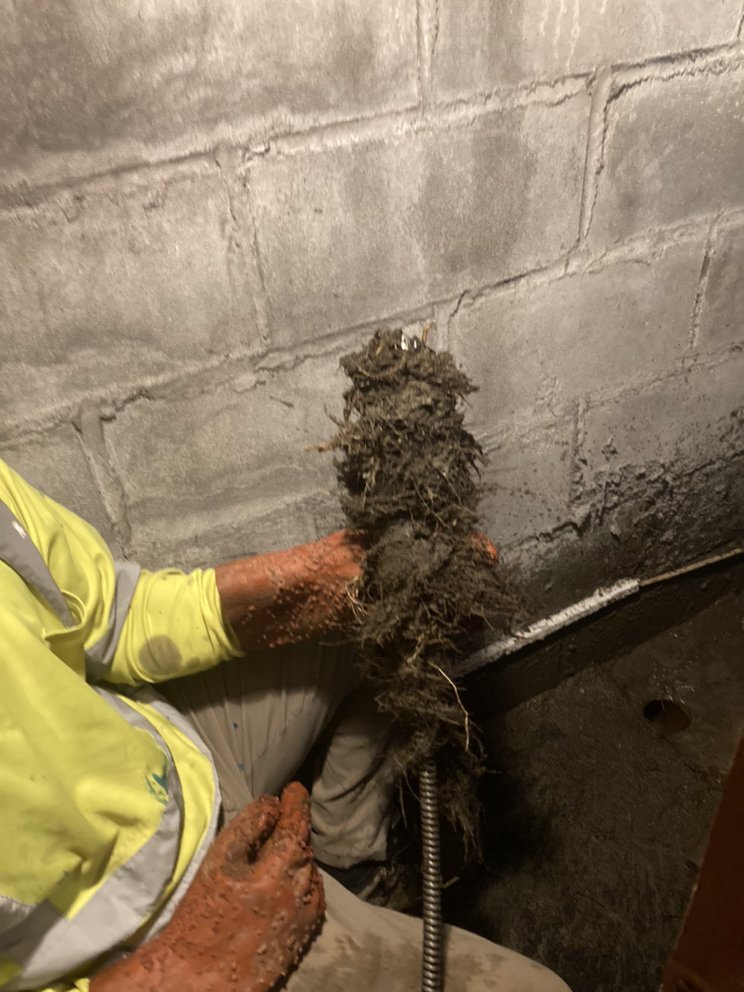 All City Sewer Repair