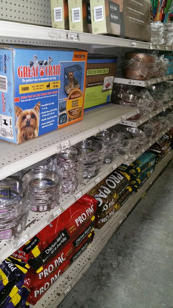Central Pet Pet Stores 13227 Orden Dr, Santa Fe Springs, CA Phone