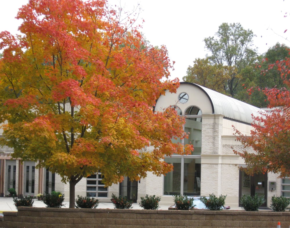 Congregation of B'nai Tzedek