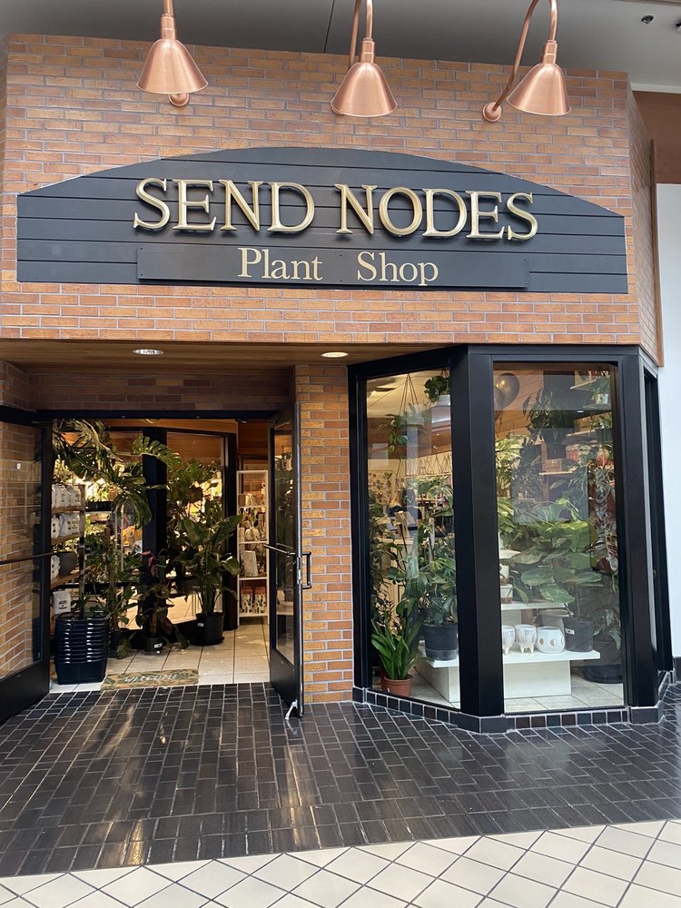 Send Nodes Plant Shop