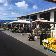 Nex Outdoor Living Center 30 Photos 20 Reviews Nurseries Shake Photo Of Nex Outdoor Living Center Honolulu Hi United States Furniture