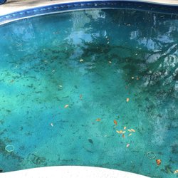 Economy Pool Of Florida Cleaners 5274 Ramona Blvd Westside Photo Of Economy Pool Florida Jacksonville Fl United States Services