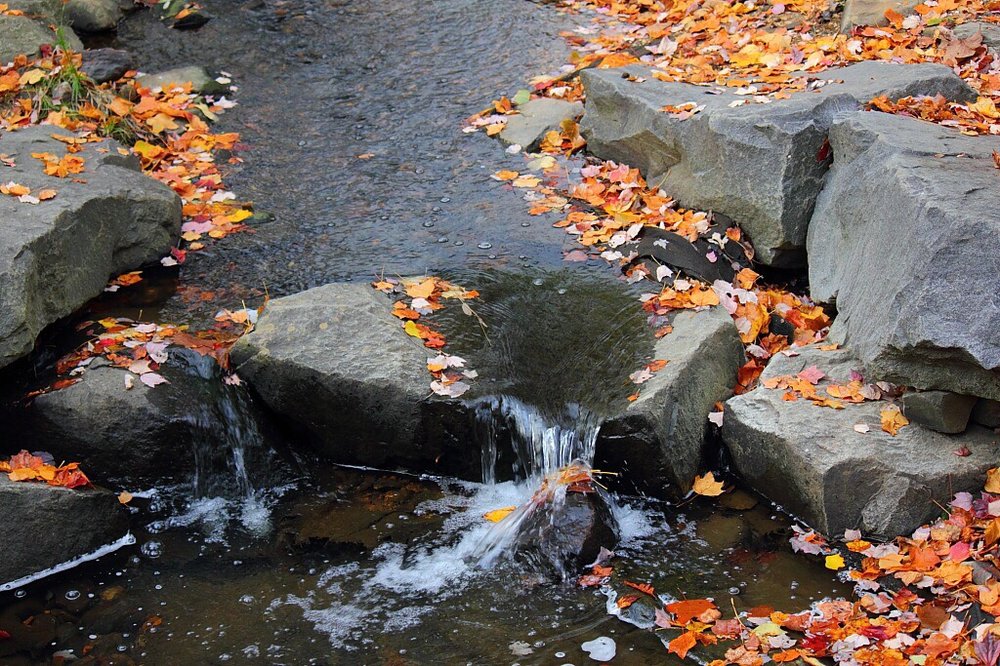 Green Spring Gardens 88 Photos & 31 Reviews Botanical Gardens