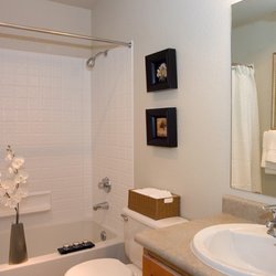 Island Homestead Apartments 24 Photos 541 Photo Of Island Homestead Apartments Bainbridge Wa United States