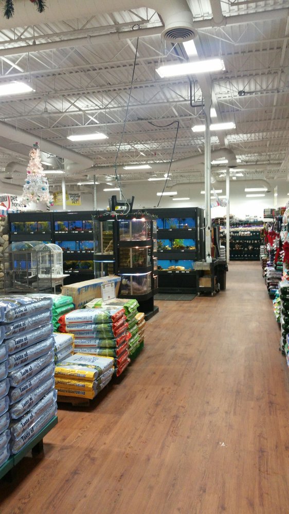PetZoo 17 Photos & 15 Reviews Pet Stores 901 E Dimond Blvd