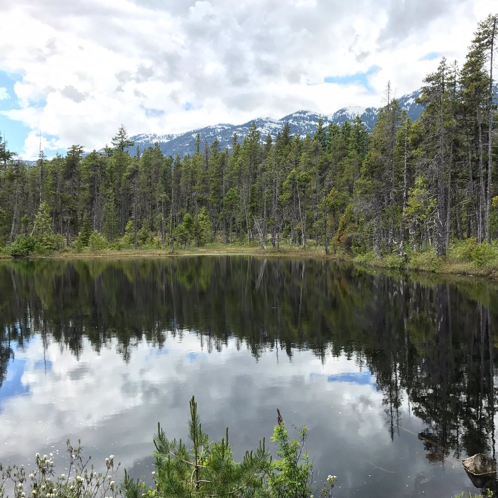 Brandywine Falls Provincial Park 71 Photos & 15 Reviews Parks Brandywine Falls Provincial