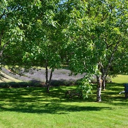 Tree Service Somerville  Photo of M&A Tree Service - Somerville, NJ, United States