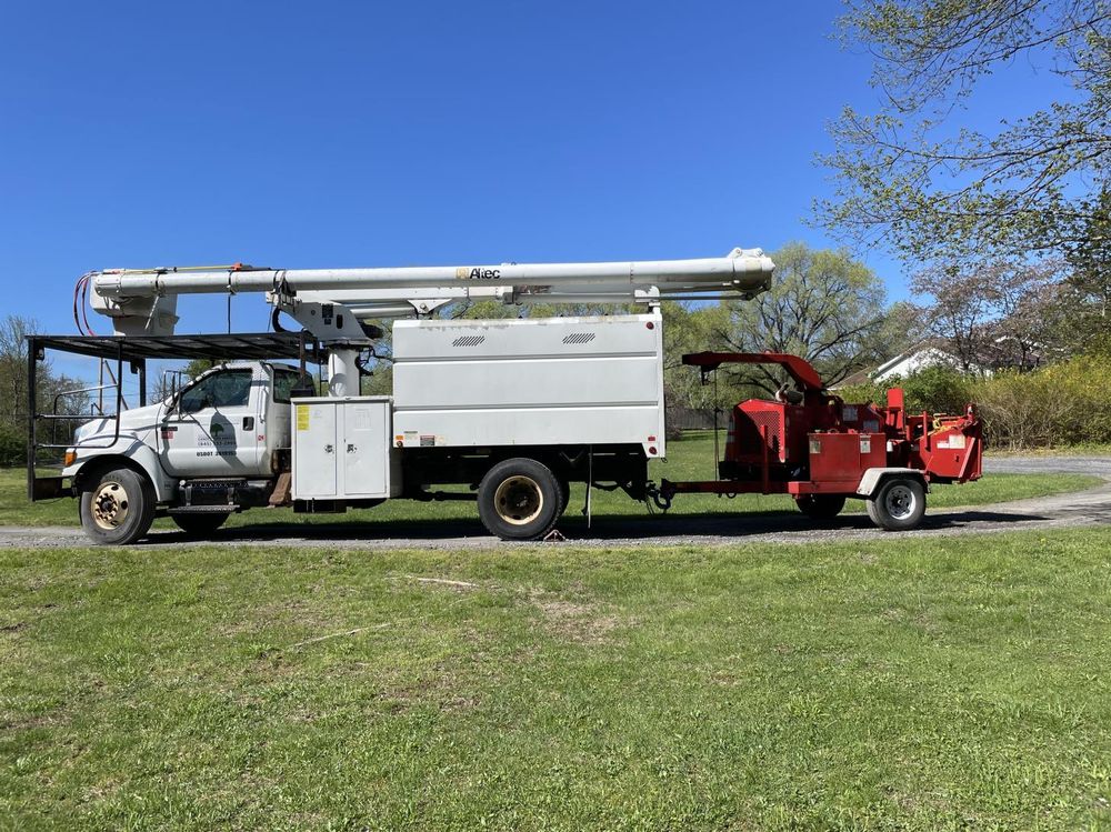 Canopy Tree Service