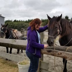 Long Beach Horse Rides 43 Photos 42 Reviews Horseback Riding Photo Of Long Beach Horse Rides Wa United States They