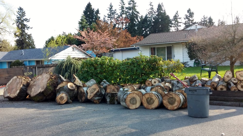 Norwest Tree Experts