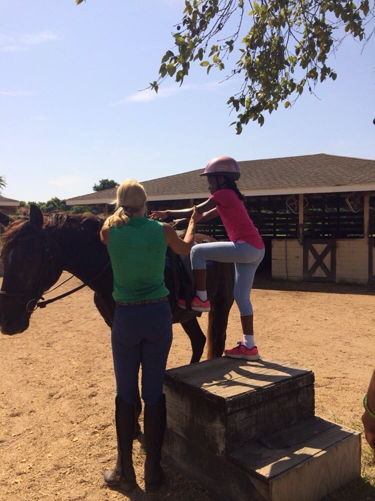 Seabrook Equestrian Center Horseback Riding 3772 Seabrook Island Rd