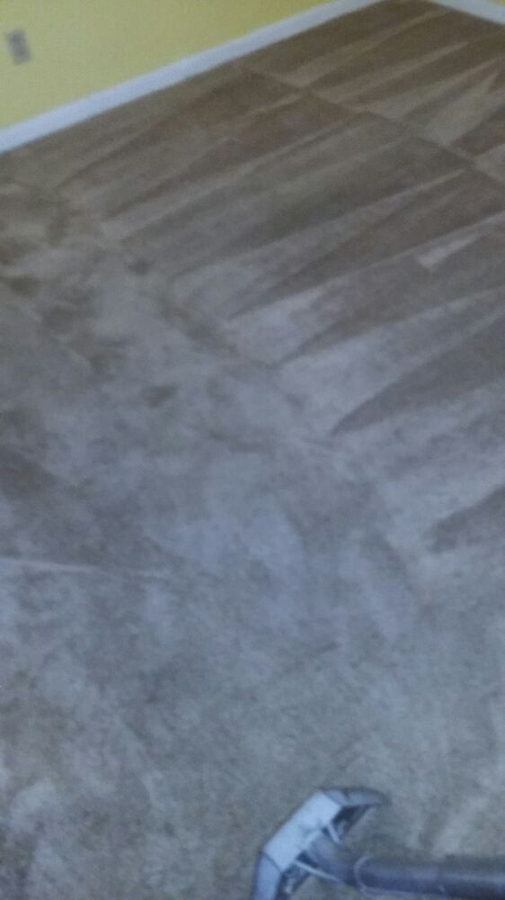 Prestige Carpet Cleaning Savannah Ga Phone Prestige Carpet Cleaning Savannah Ga Phone Number Yelp