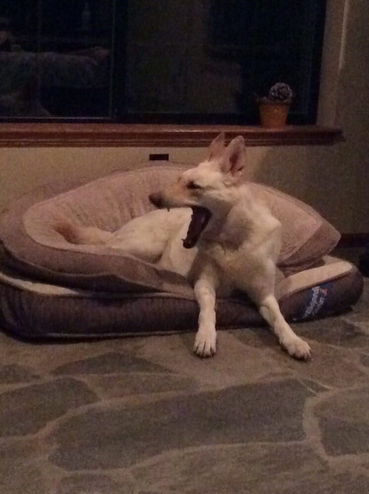 PicknPull 26 Photos & 21 Reviews Auto Parts & Supplies 516B