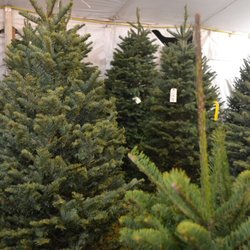 Valley View Christmas Tree Farms 13 Photos