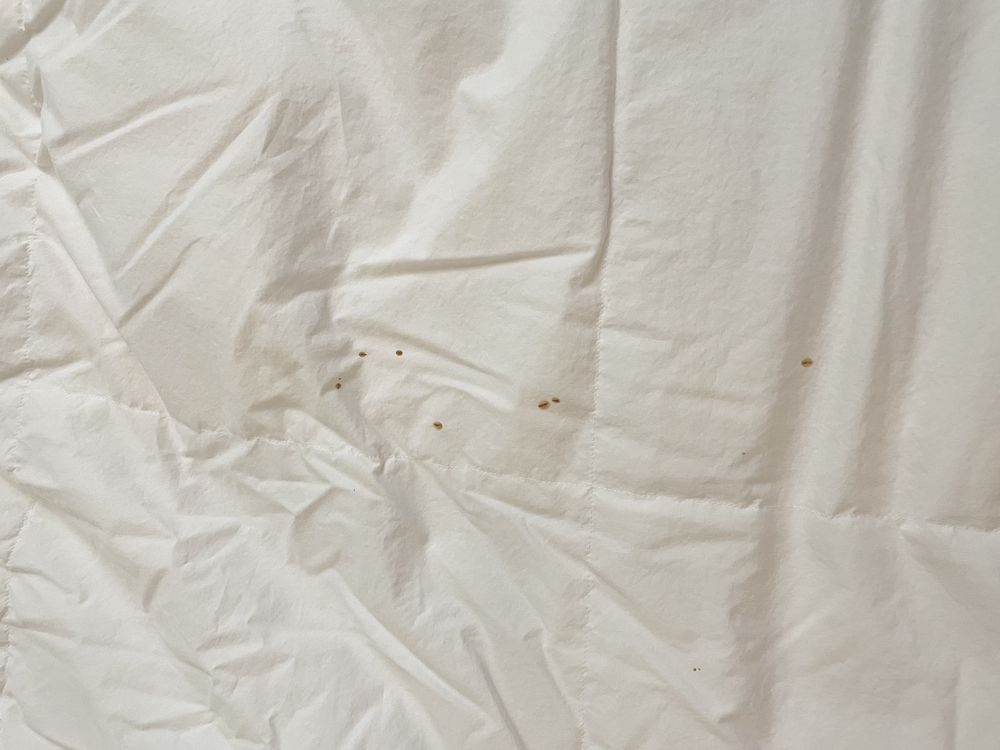 Tuesdays Drycleaners