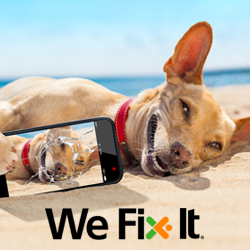 Cell Phone Repair Lexington Ky >> Batteries Plus Bulbs - 15 Photos - Battery Stores - 3094 Richmond Rd, Lexington, KY - Phone ... Cell Phone Repair Lexington Ky >> Batteries Plus Bulbs - 15 Photos - Battery Stores - 3094 Richmond Rd, Lexington, KY - Phone ...