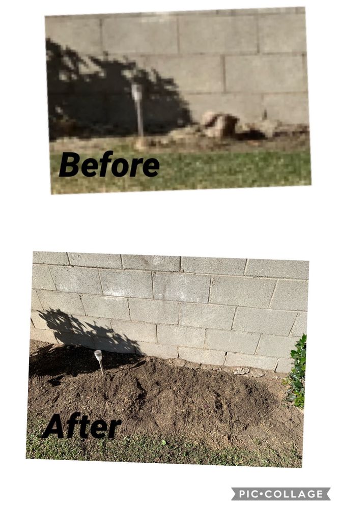L A C Tree Service