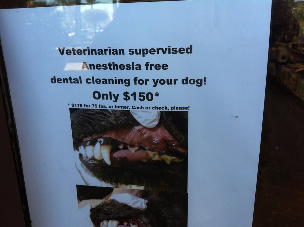 Choice Pet Market 24 Reviews Pet Stores 20028 N 67th Ave