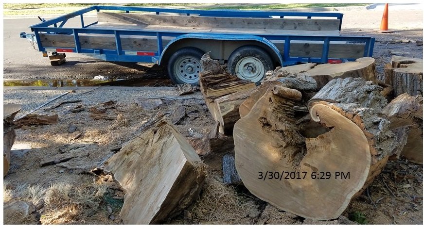 A & L Tree Service