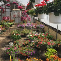 Miller Greenhouses 10 Reviews Nurseries Gardening 403 Beech Photo Of Miller Greenhouses Nether Providence Township Pa United States