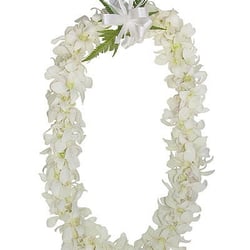 Orchid Graduation Leis - Party & Event Planning - Point Loma, San Diego