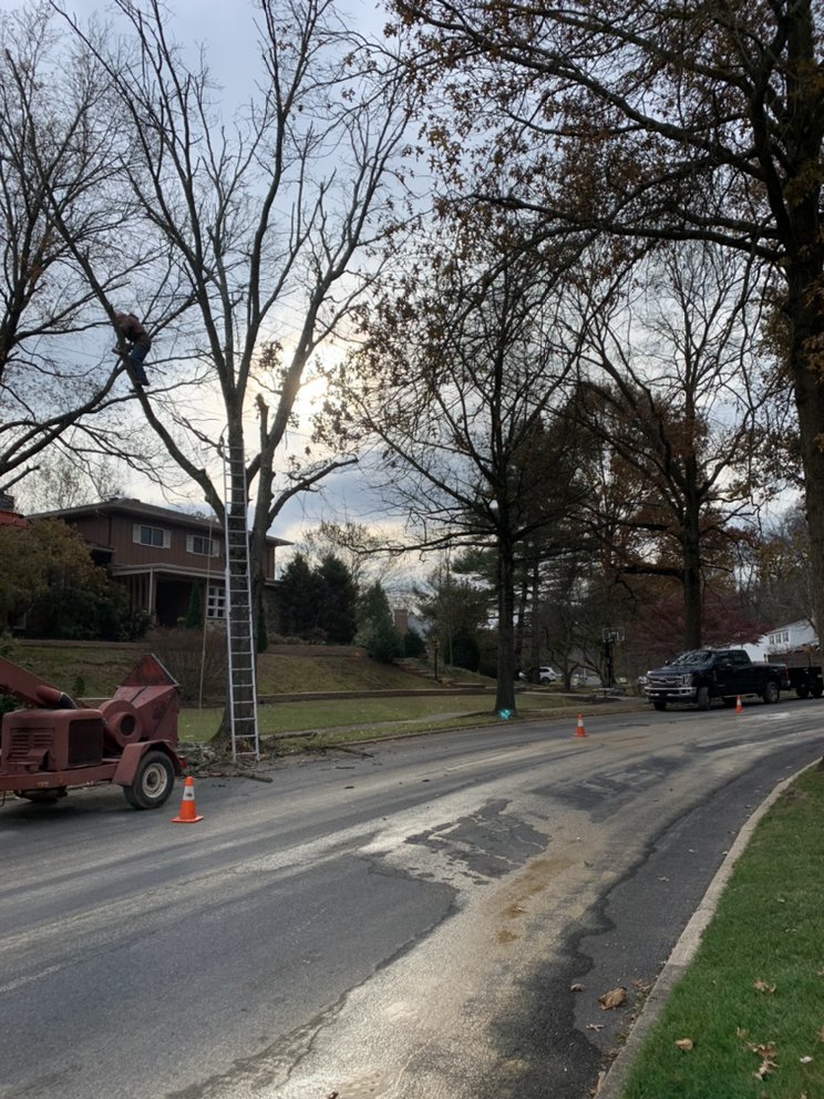 A&J Tree Service