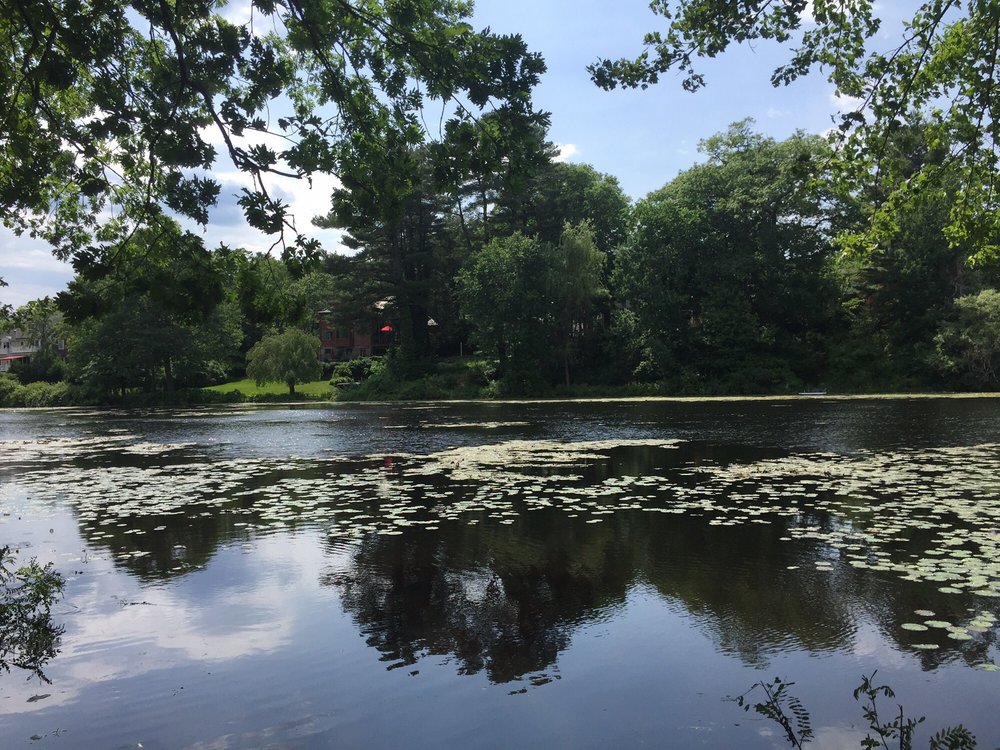 Auburndale Park 10 Photos Parks 15 Edgewater Park, Newton, MA Yelp