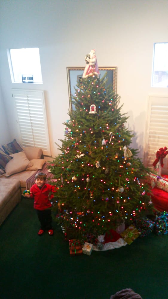9 foot balsam easily the best tree we ve ever had yelp 9 foot balsam easily the best tree we ve ever had yelp