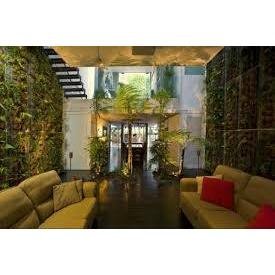 image of business Emily