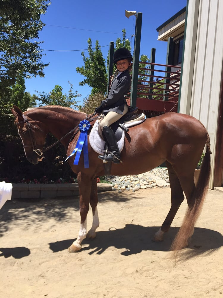 Reno Tahoe Equestrian Centre 13 Photos Horseback Riding 2455