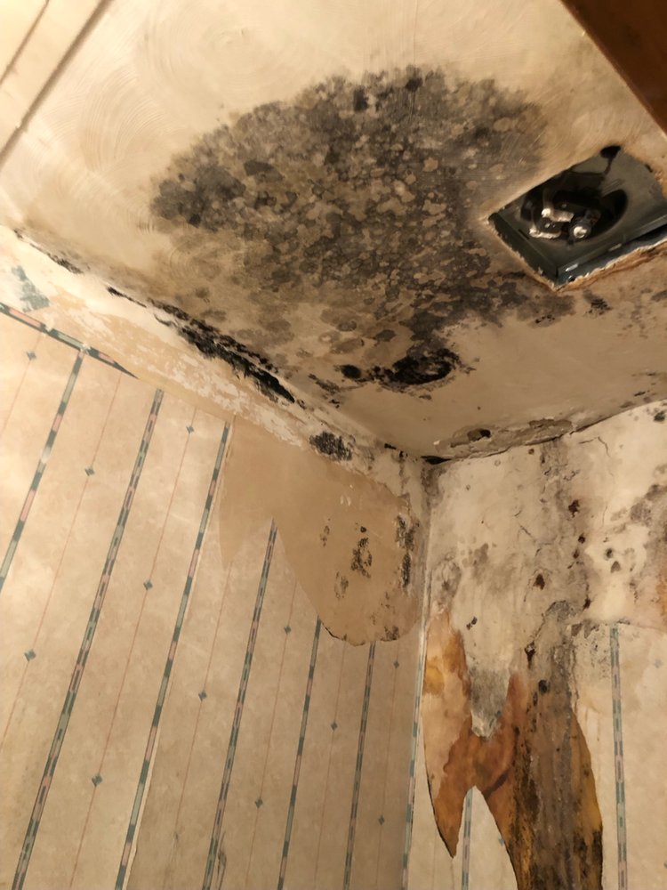 Mold Stingers
