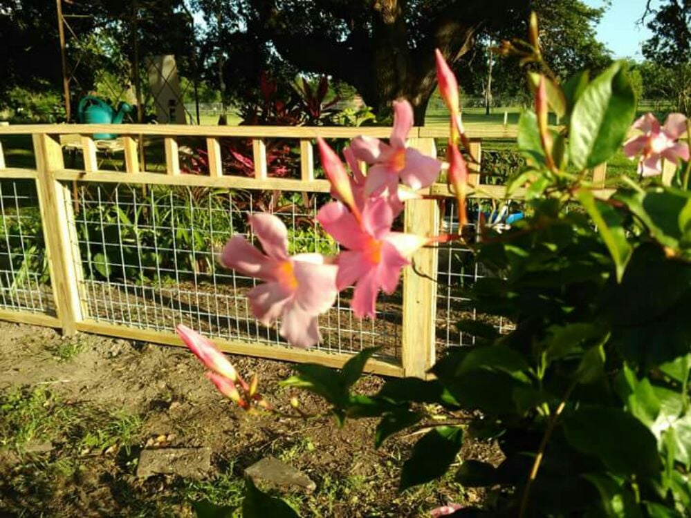 West Bay Fence & Gate
