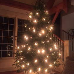 Vormittag Tree Farm Christmas Trees 9921 Linden Dr Nw