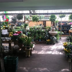 Garden World 182 Photos 55 Reviews Nurseries Gardening 197 Photo Of Garden World Flushing Ny United States