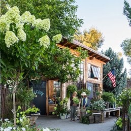 Garden Design Nursery photos for madeline george garden design, nursery & garden center Garden Design Nursery photos for madeline george garden design, nursery & garden center