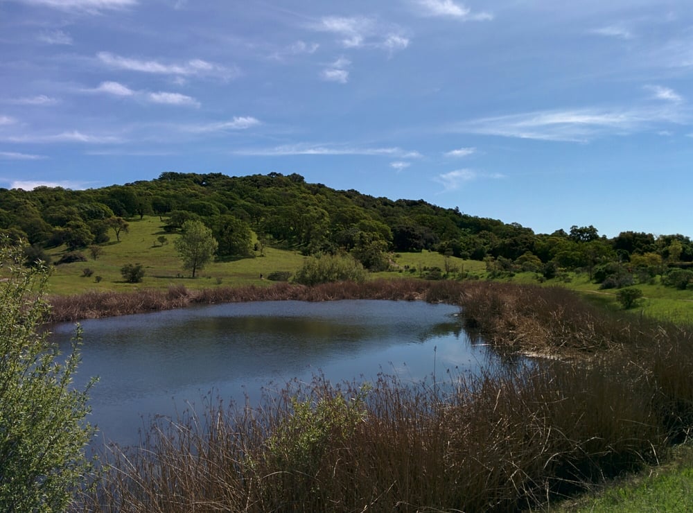 Foothill Regional Park 212 Photos & 54 Reviews Hiking 1351 Arata