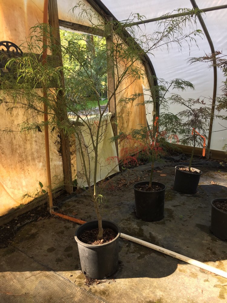 Lloyd's of Landscape