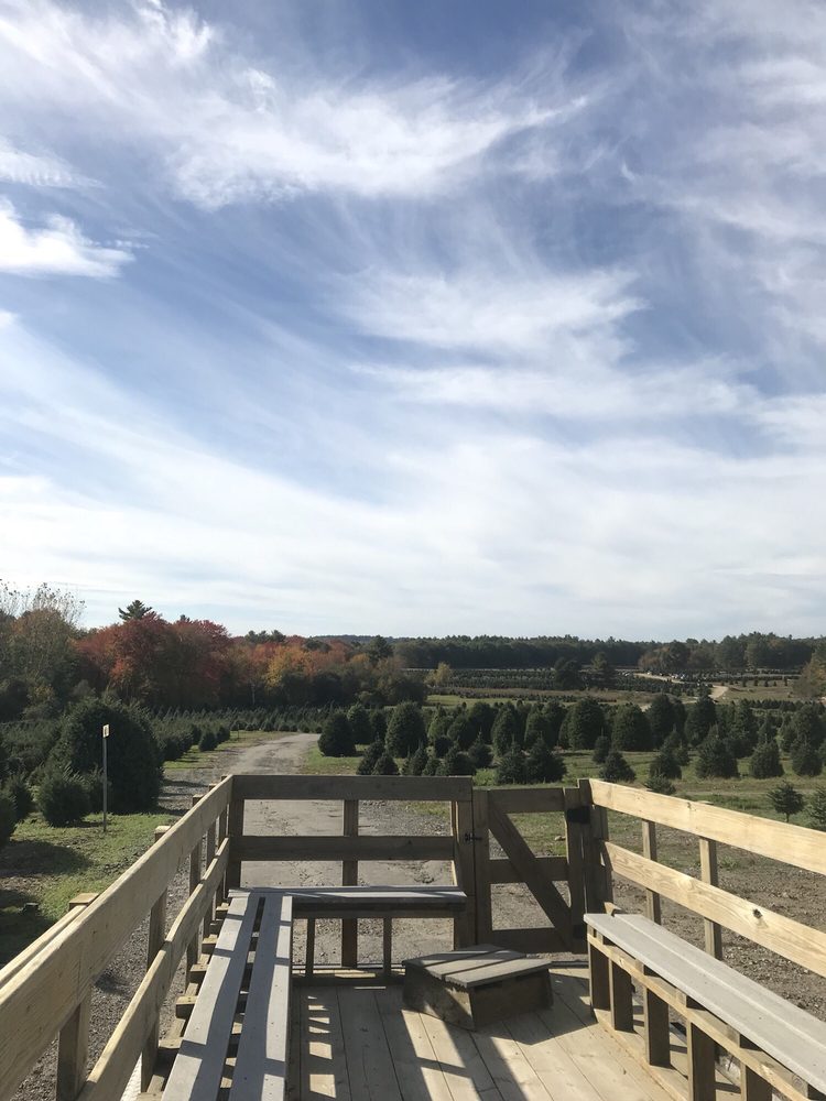 Henry’s Christmas Tree Farm 28 Photos & 16 Reviews Christmas Trees