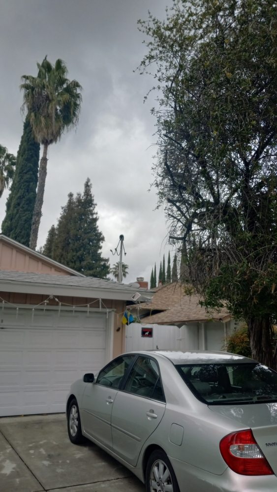 Millan Tree Service, Inc