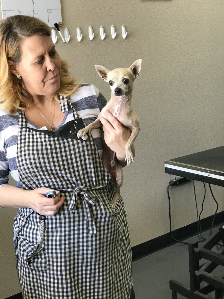 Top Dog Grooming 25 Photos & 67 Reviews Pet Groomers 7800 W Ann