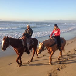 Marina Equestrian Center Horseback Riding 2830 5th Ave Photo Of Marina Equestrian Center Ca United States Horseback Riding In