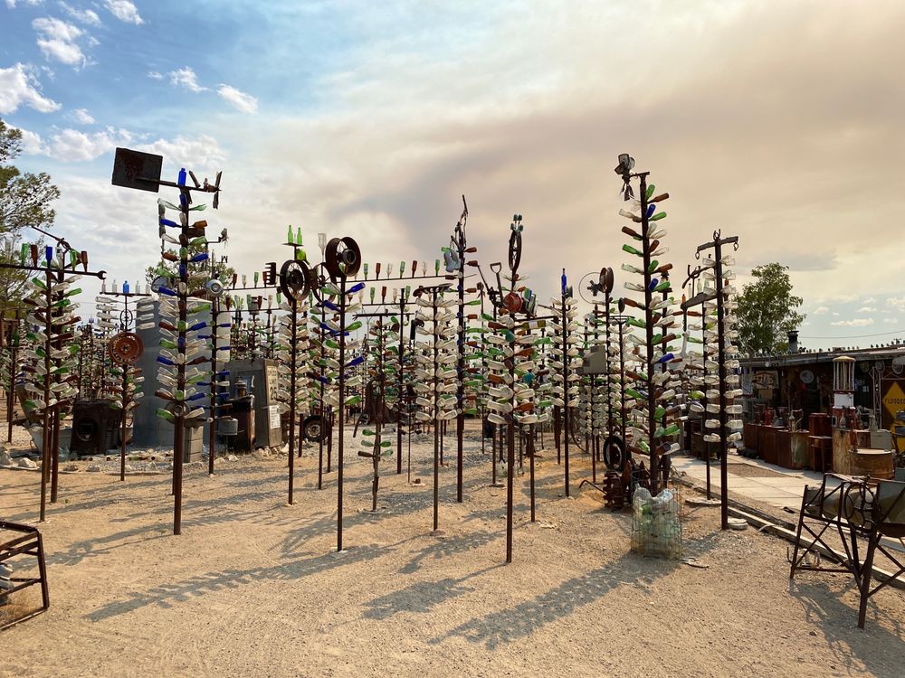 Elmer's Bottle Tree Ranch